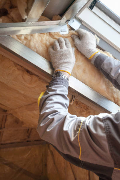 Best Cellulose Insulation  in Dexter, GA